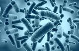 Chlamydia & Gonorrhoea Home Test Kit UK